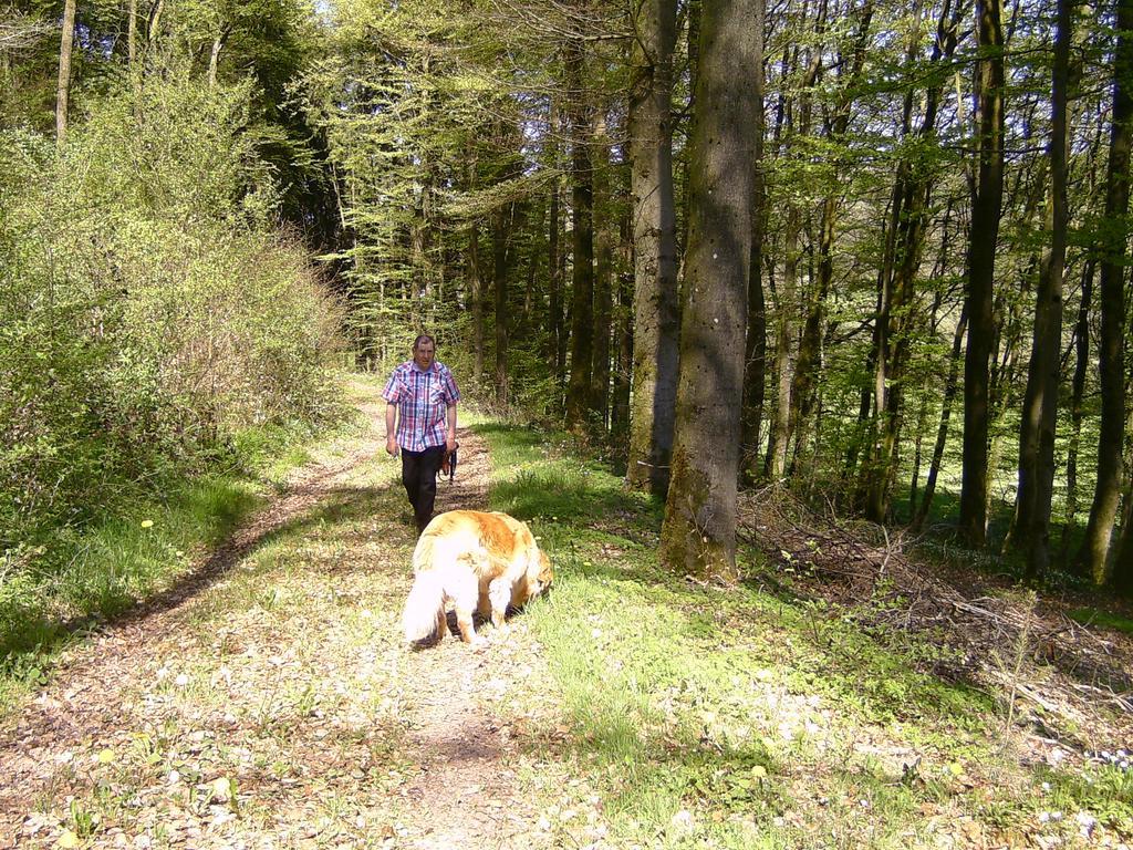 Landferien Eifel Apartment Pittenbach Bagian luar foto