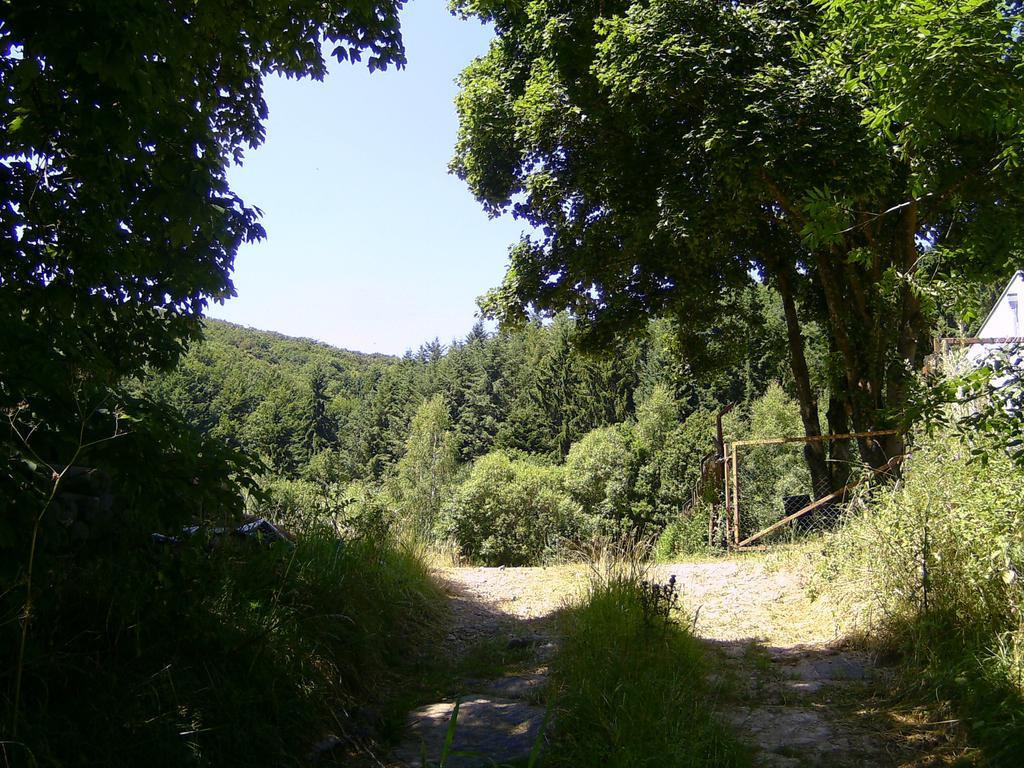 Landferien Eifel Apartment Pittenbach Bagian luar foto